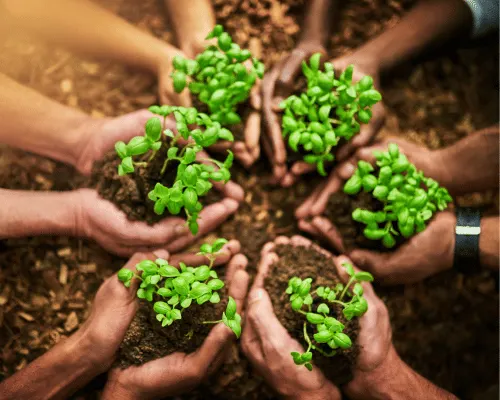 Protect the Environment